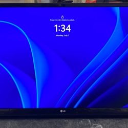LG  24” Monitor(s) With Attached Wall Brackets