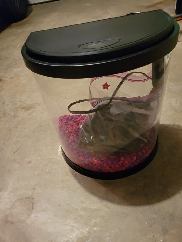 Fish Tank & Accessories