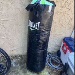 Punching Bag With Gloves 