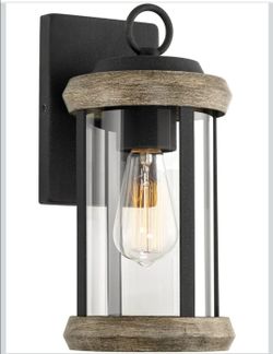 Dayton 9" outdoor rustic wall light