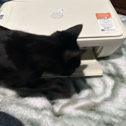 Desk Jet Printer