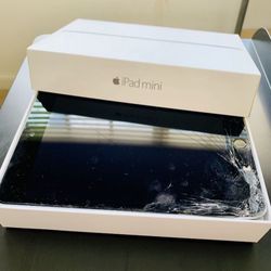 iPad Mini 4 with Originally Box