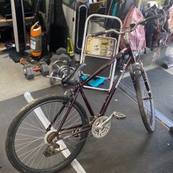 diamond back edgewood lx