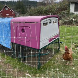 For Sale: Omlet Chicken Coop (9 ft Run) + Solar Electric Fence