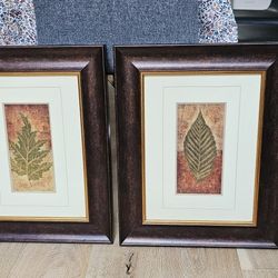Two Framed Leaf Art Prints (20.5 x 16.5)
