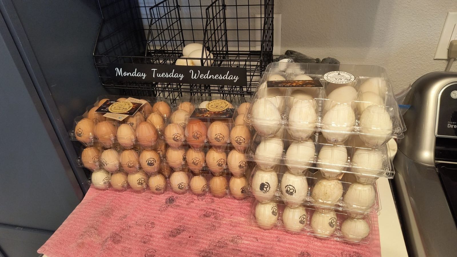 Fresh Duck & Chicken Eggs