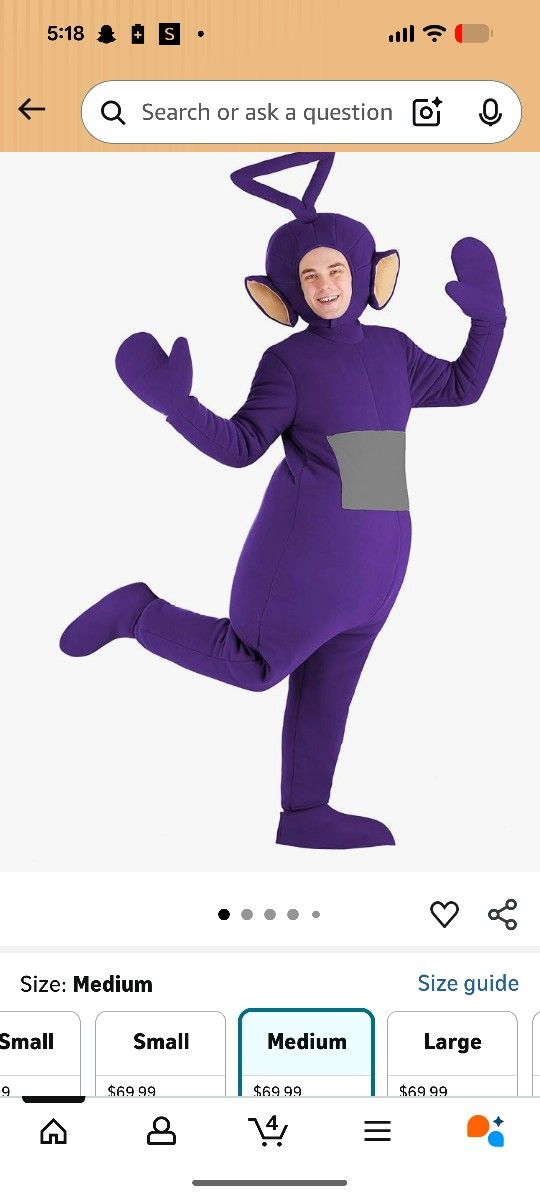 Teletubbies Costume