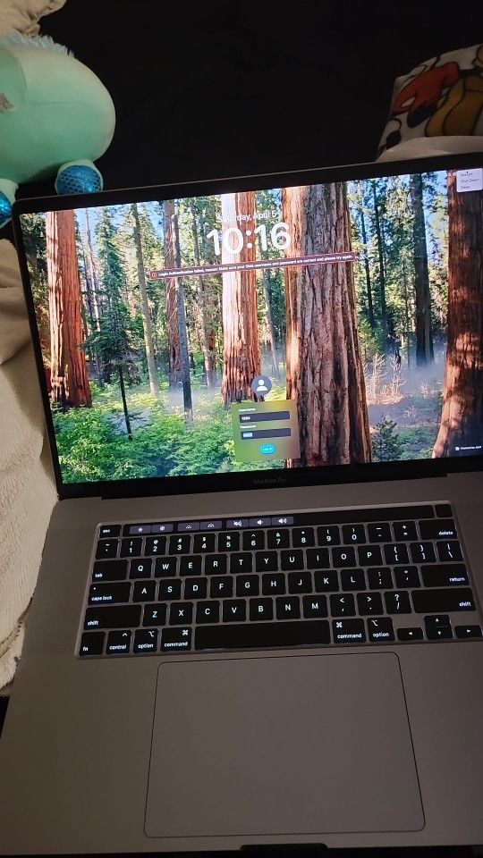 Apple Mac Book Pro 16 Inch