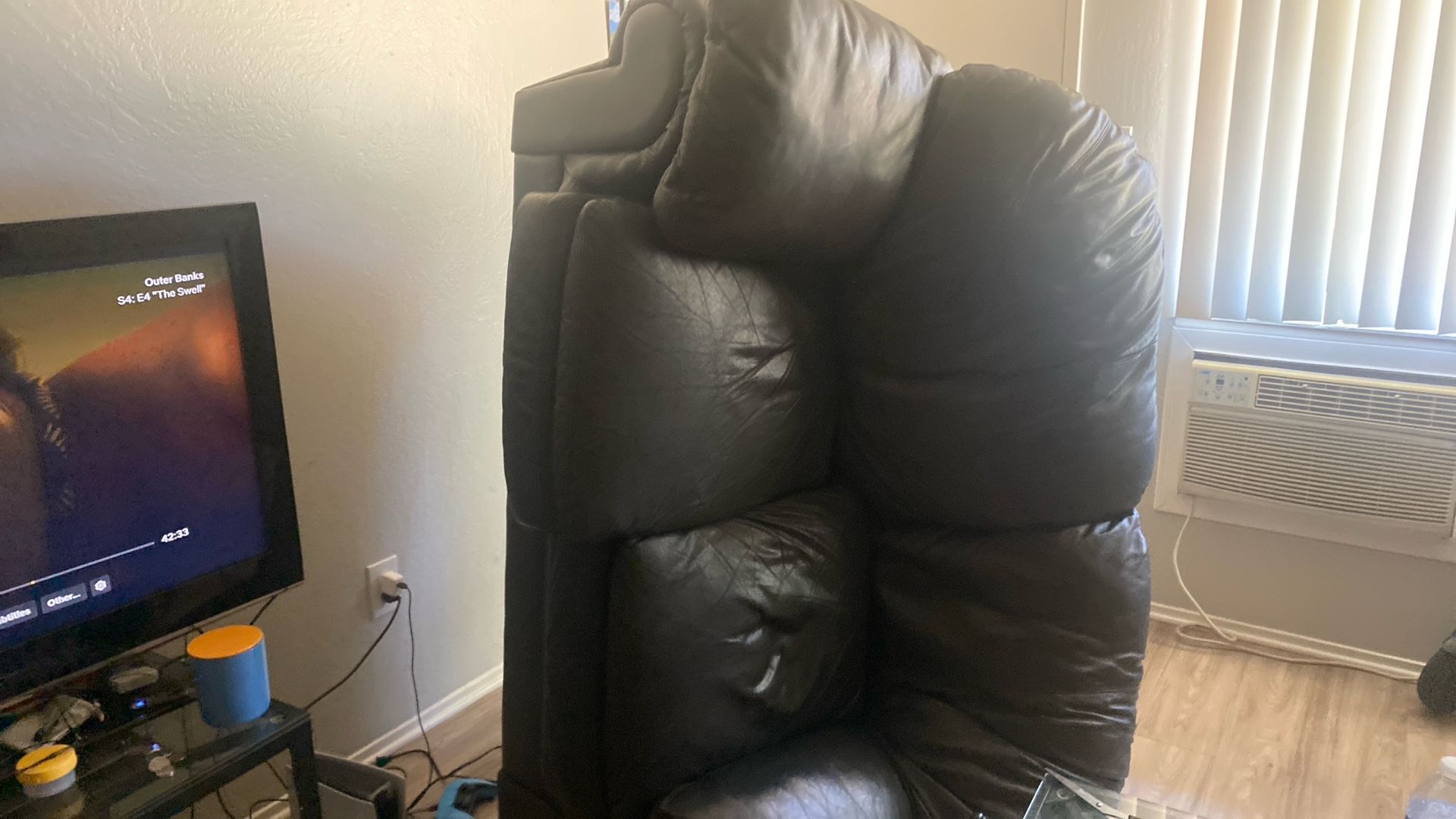 Love Seat Leather Couch