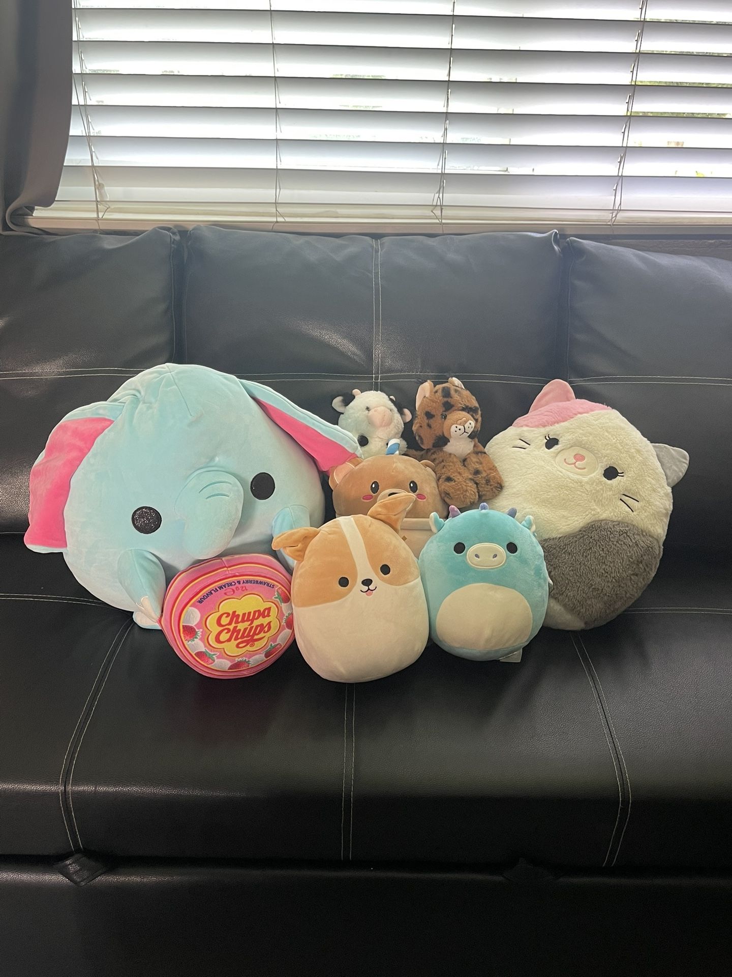 Stuffed Animals