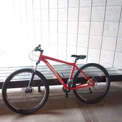 Mountain Bike
