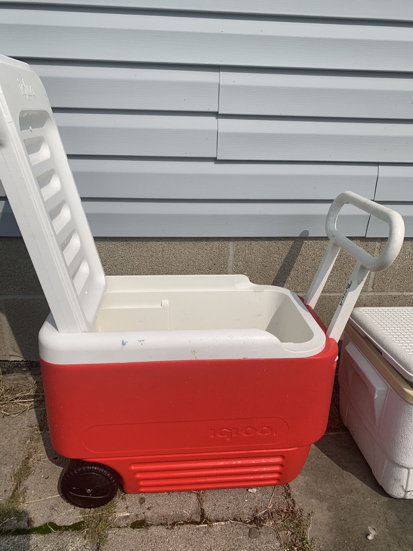 Cooler