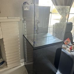 40 Gallon Aquarium 