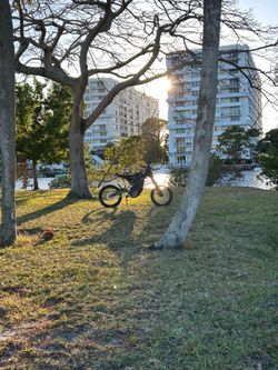 79 bike Falcon pro