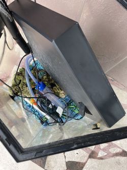 Fish Tank
