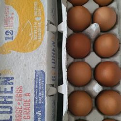 Farm Fresh Eggs