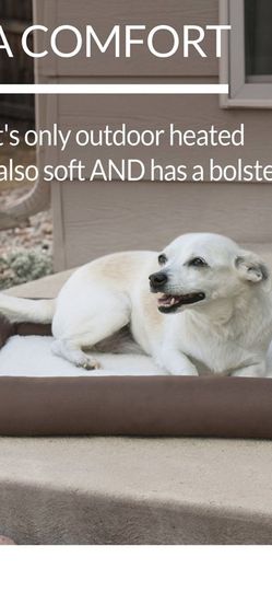 Heated dog cat bed medium