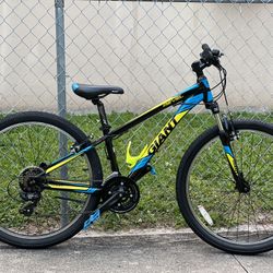 Giant Revel 26” Youth Bike 