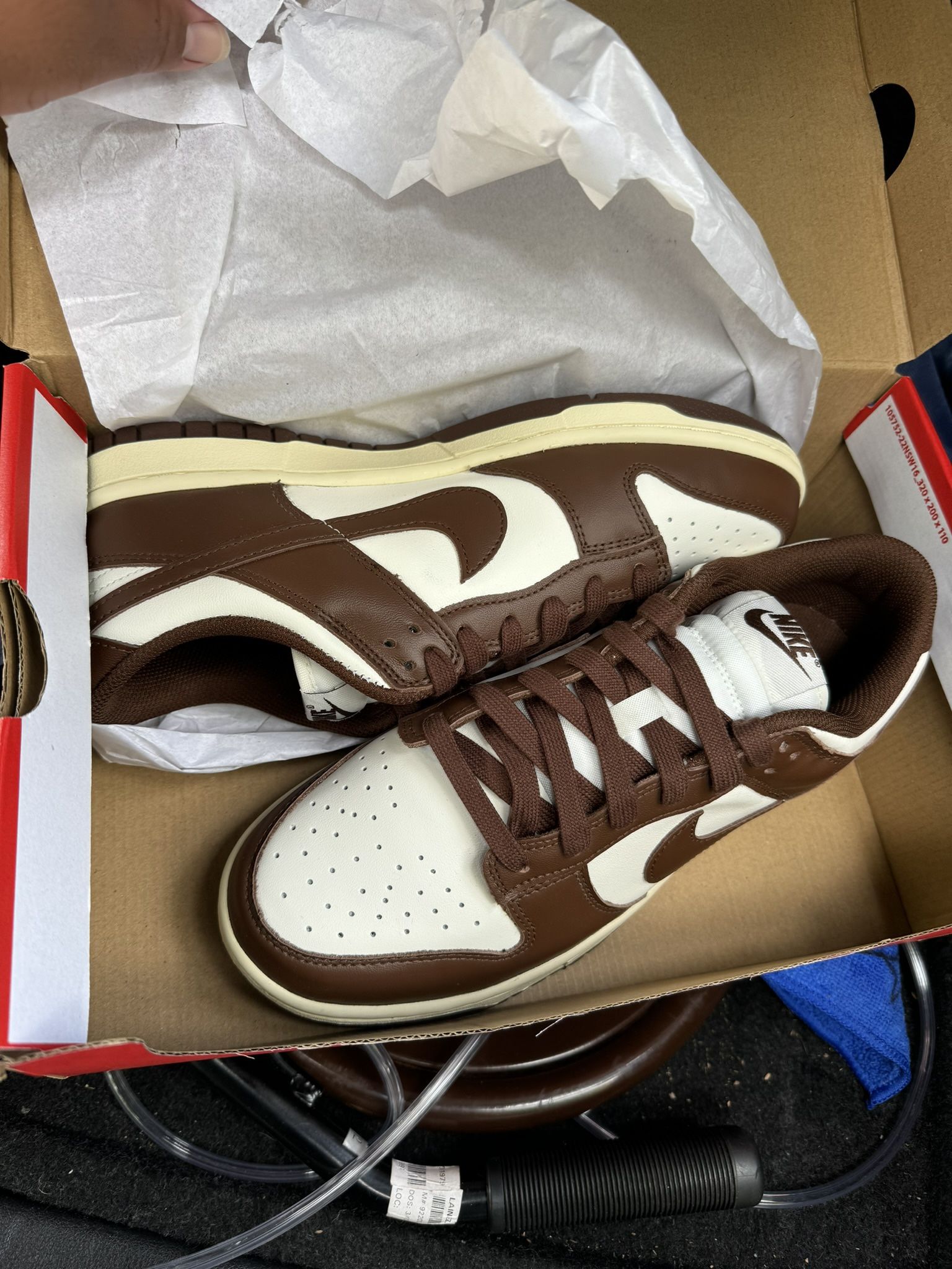 Nike Dunk