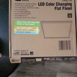 led 12"