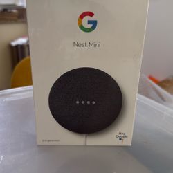 Google Nest Mini 