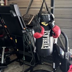 Everlast Punching Bag With Stand And Gloves