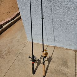 Fishing rod and reel
