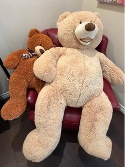 Teddy bear