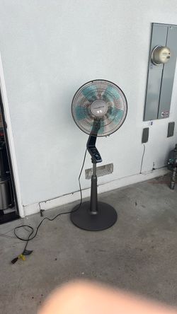 Fans 4 bundle