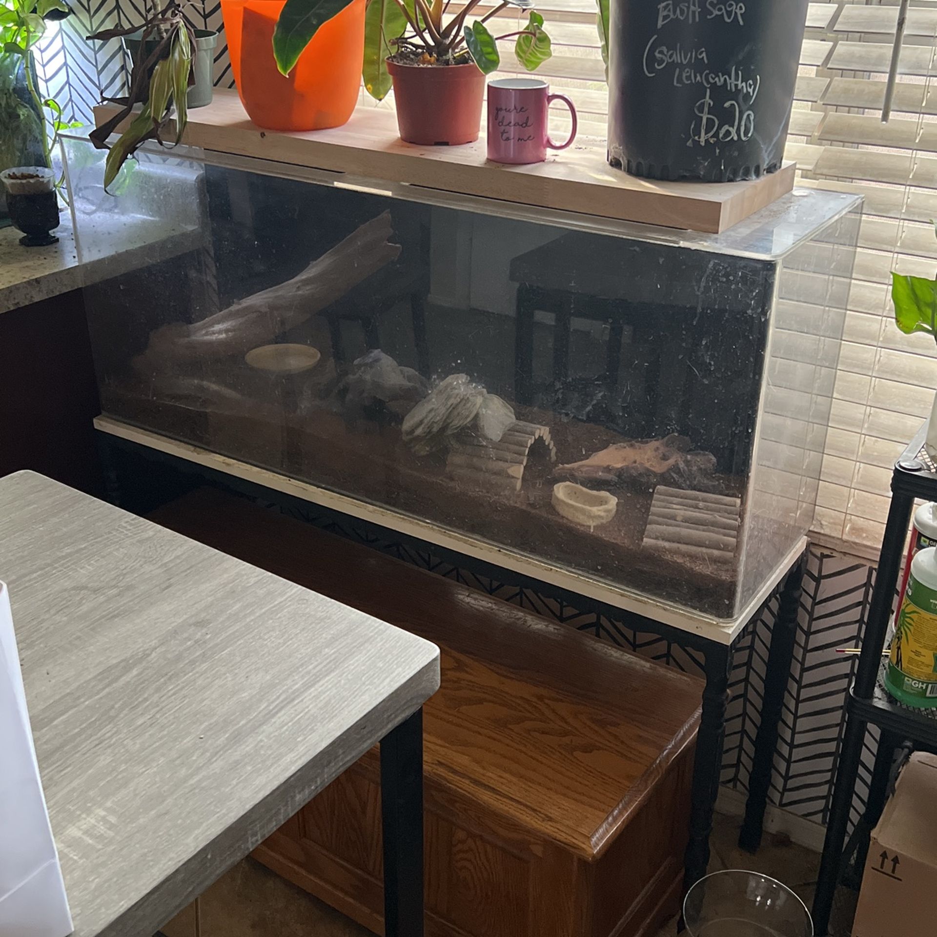 55 Gallon Acrylic Tank- Has Scratches