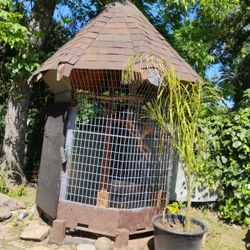 Bird Cage