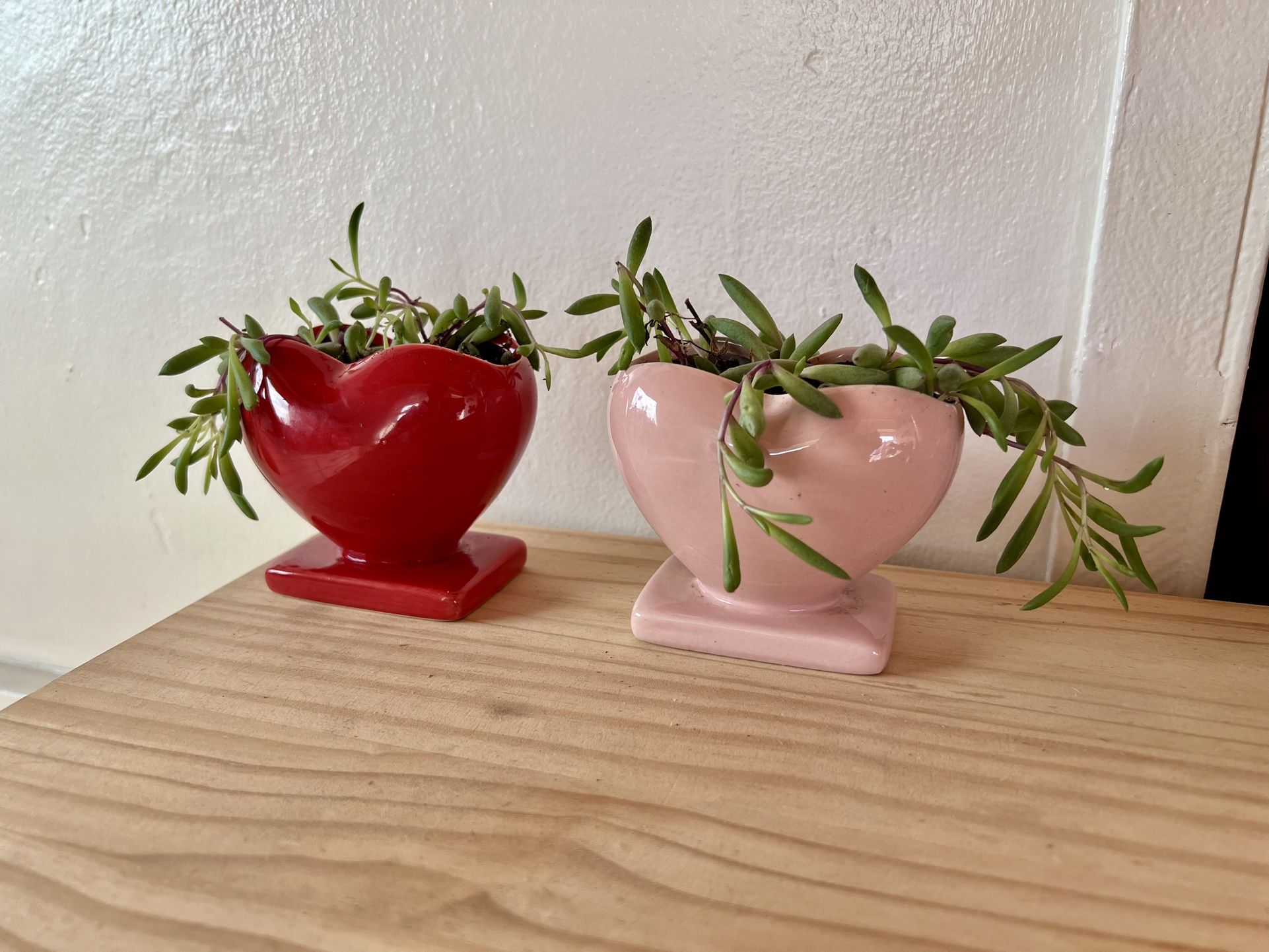 2 Brand New Heart Vases With Trailing Succulents