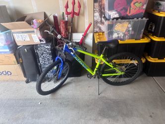 Mongoose Scepter 24" Mountain Bike - Green/Blue