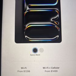 iPad Pro 13-inch (M4) Plus Case