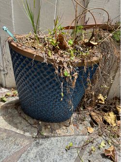 Large Ceramic Pots
