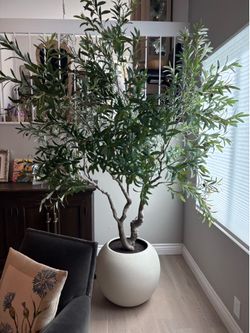 Faux 8’ Olive tree from Costco