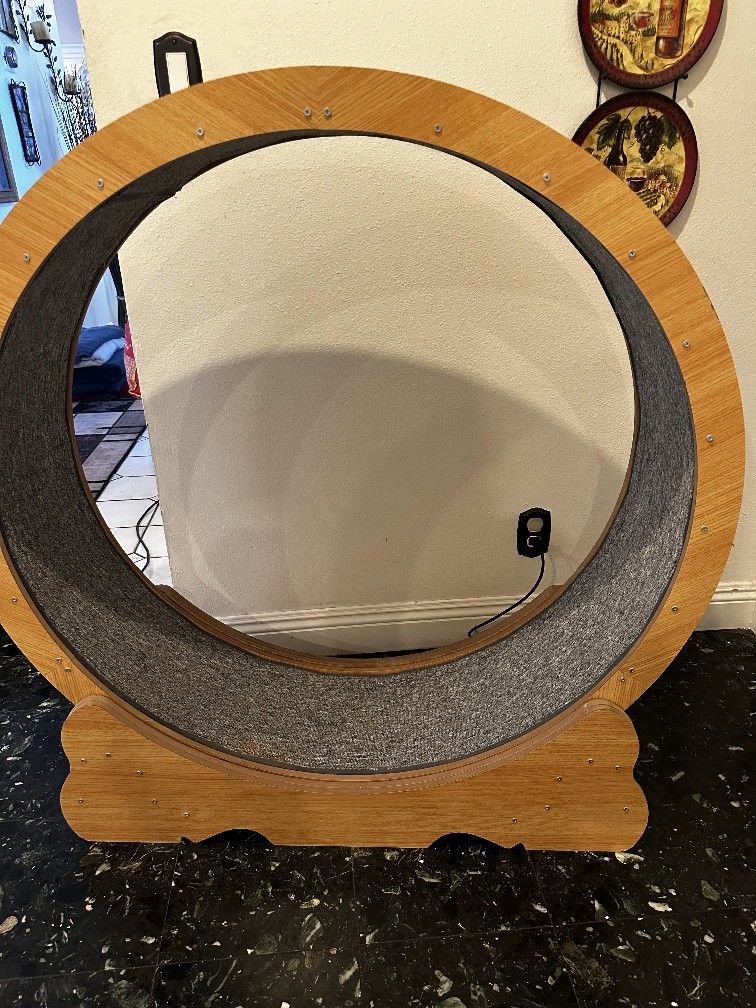 Cat Treadmill