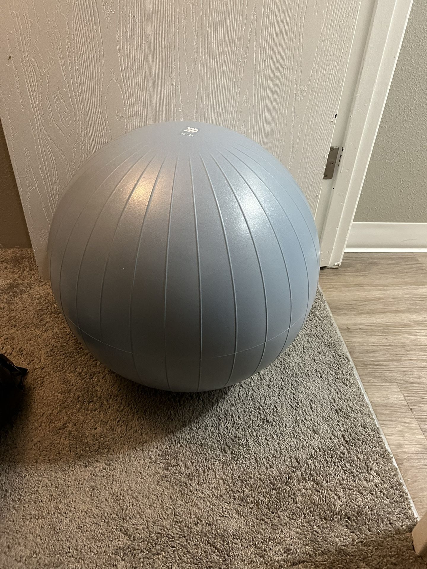 Workout Ball / Pregnancy Ball