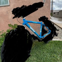 Throne Cookies Frame 