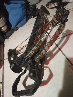 Barnett stalker 360