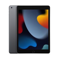 Apple iPad 9th Gen Wi-Fi Space Gray