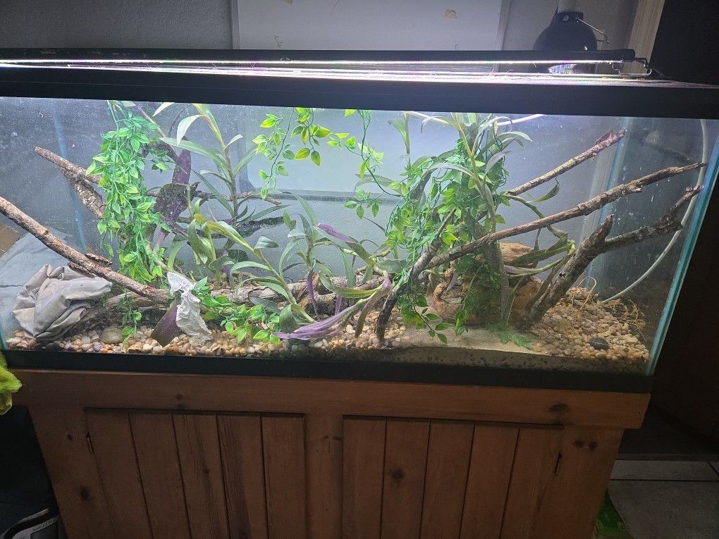 Fish/reptile Tank