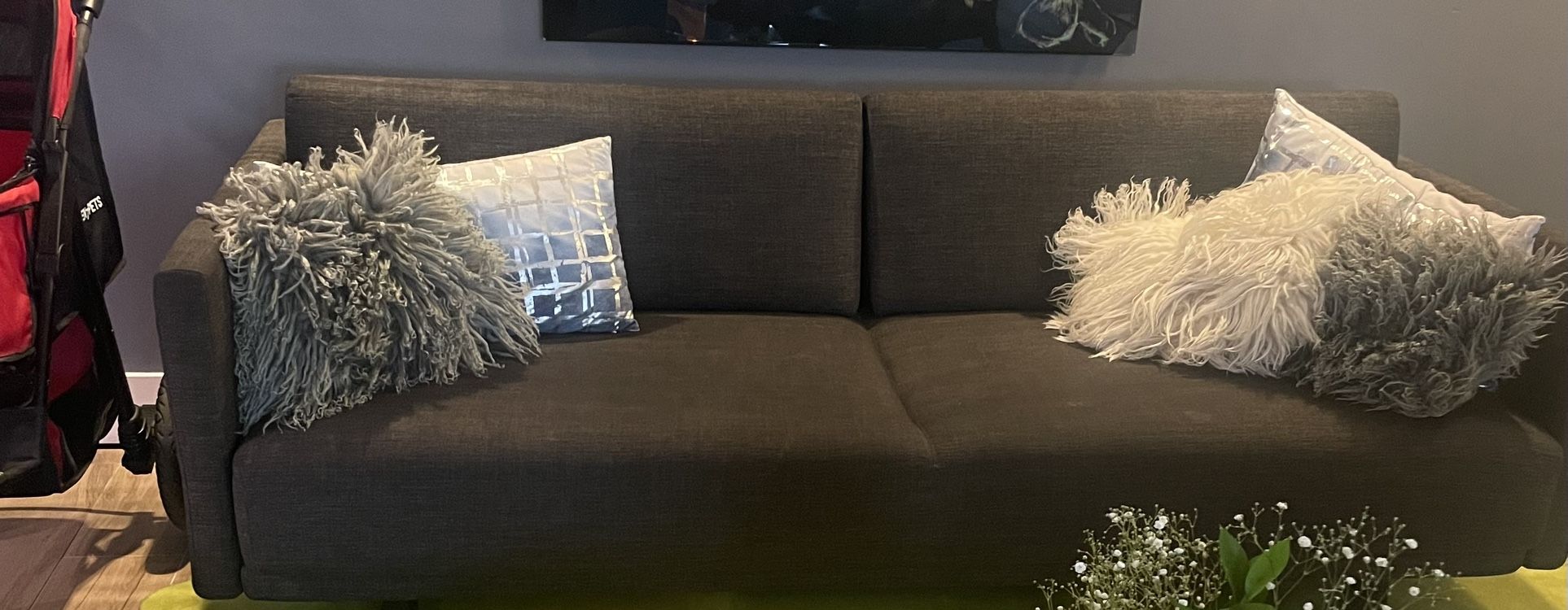 Design Within Reach Futon Couch