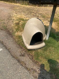 Free small doghouse