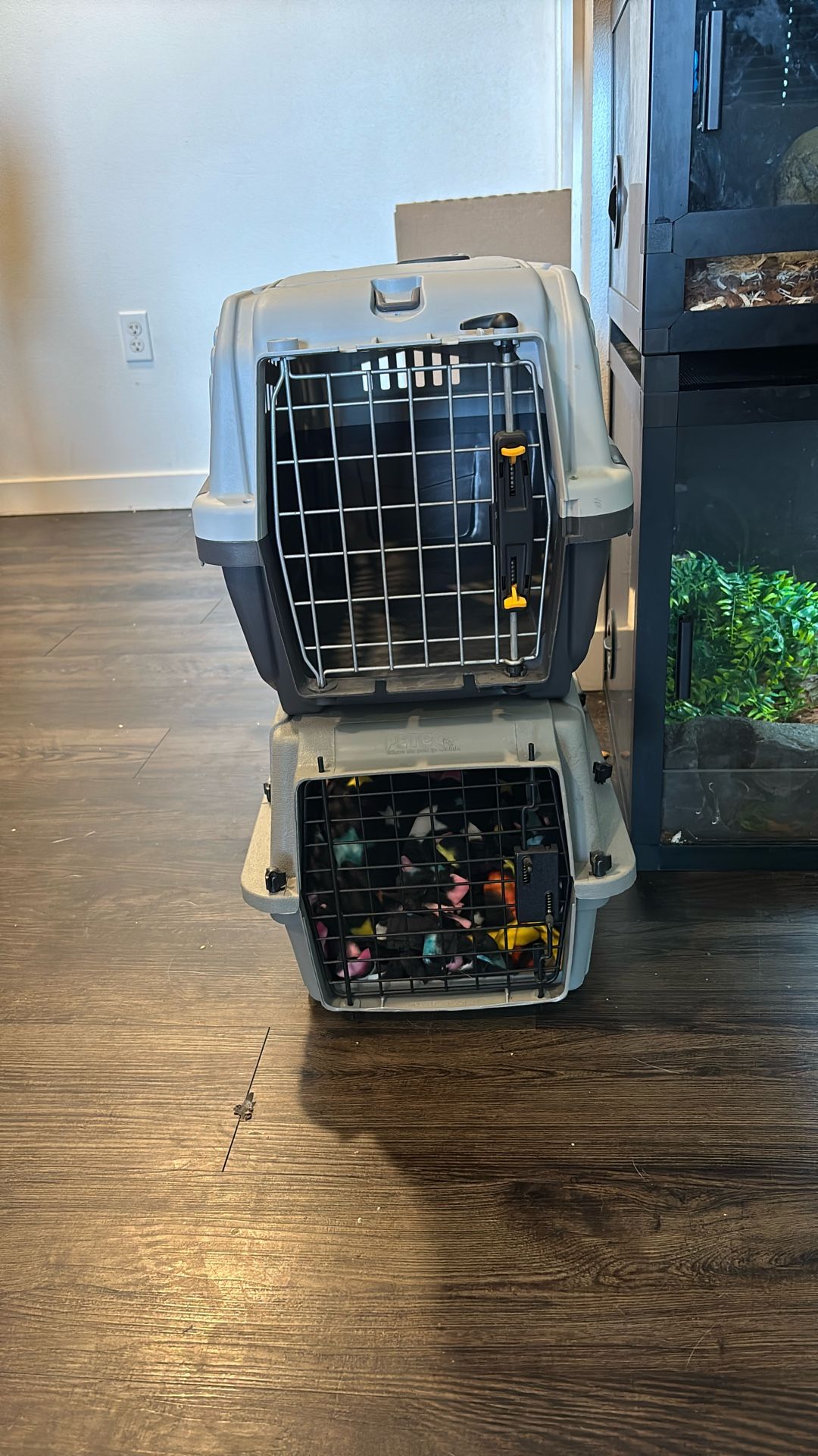 Cat carriers