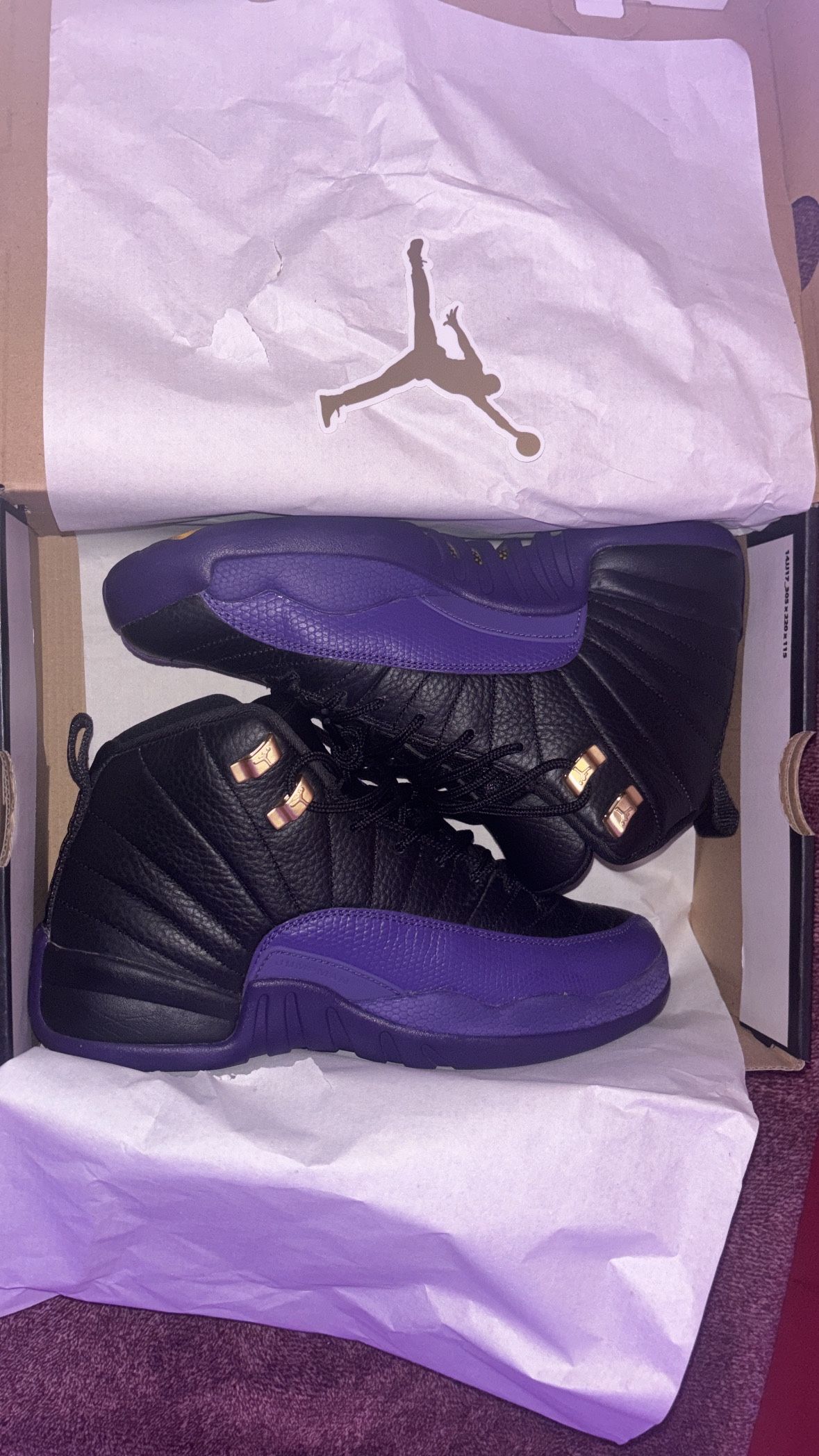 Jordan 12’s Retro Field Purple