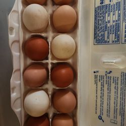 Fresh / Refrigerated Eggs 