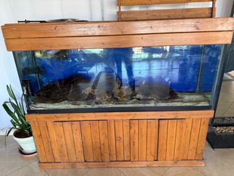 175 Gallon Saltwater Aquarium Complete Setup – Stand, Sump, Pumps & Light