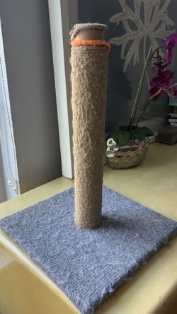 Cat Scratching Post 
