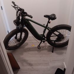 Hey bike Electric Bicycle 